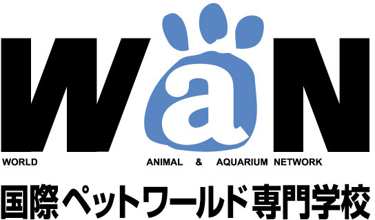 国際ペットワールド専門学校